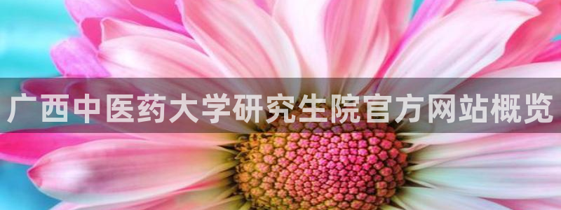 九游会官网真人认证吗安全吗