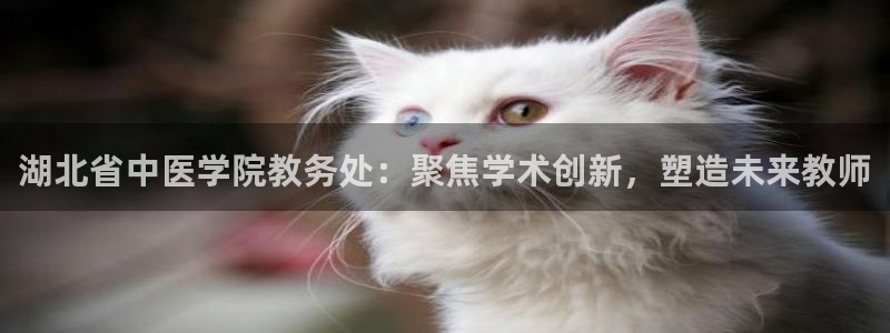 九游官网j9活动介绍