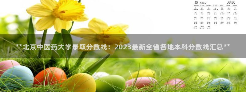 九游会官方选网址是j9.cm