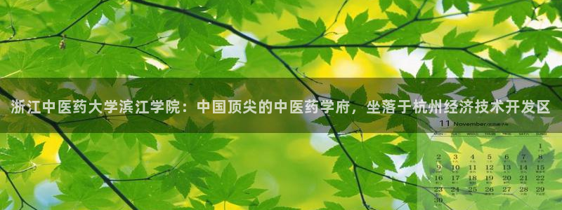 九游会官网网址