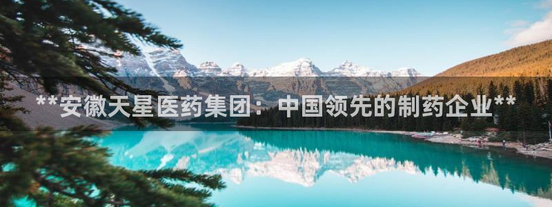ag九游会集团