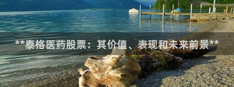 九游会登录网址多少