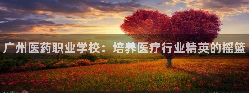j9九游会官方网站