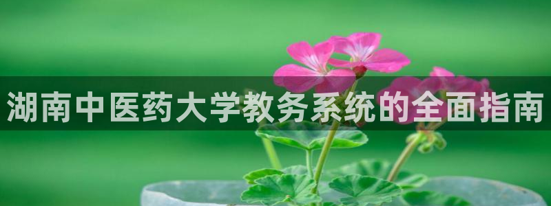 九游会agj9