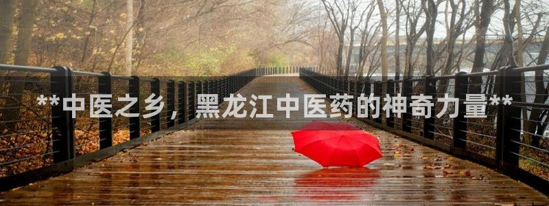 九游会手机登陆