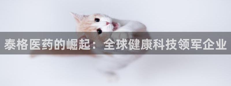 j9九游会老哥俱乐部官网