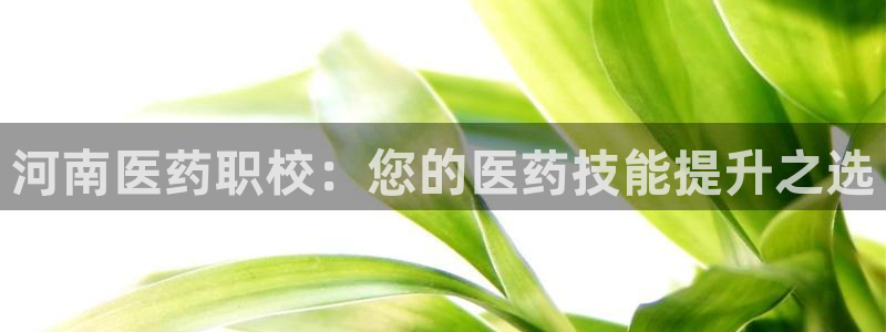j9九游会app官网下载