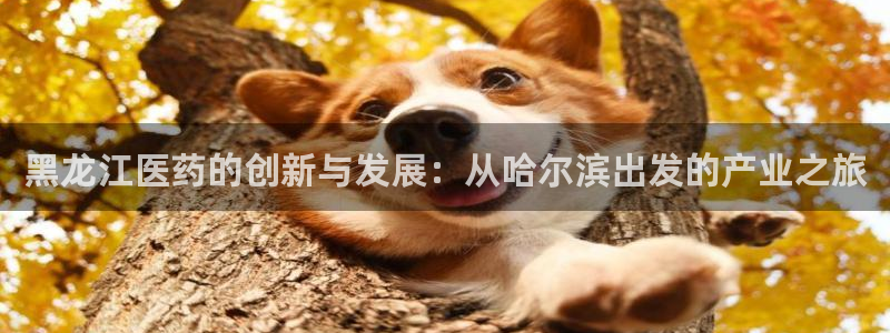 九游会官网站