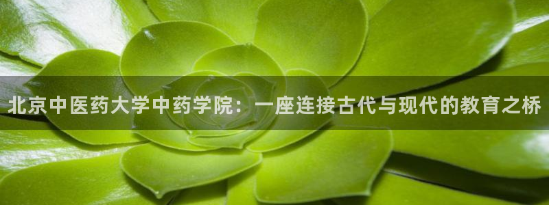 九游会在线官方网站下载吗