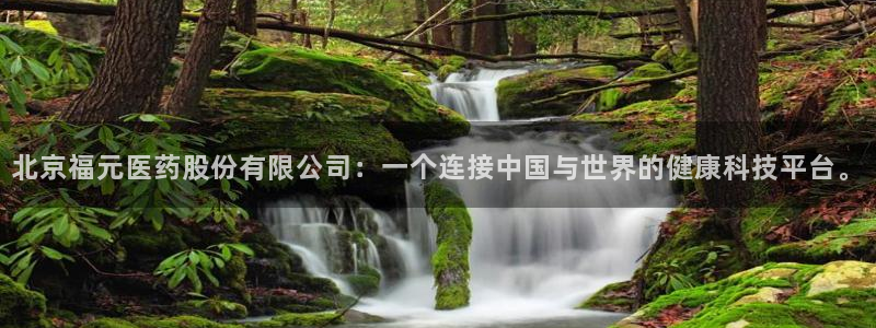 九游会网址大全