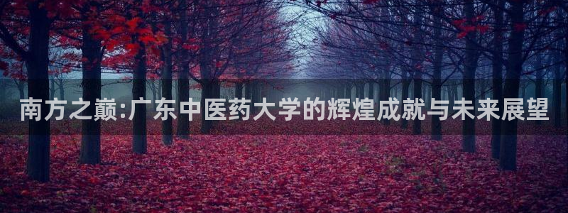 九游会官网入口首页