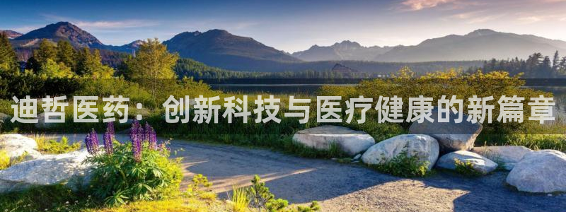 九游会网址多少
