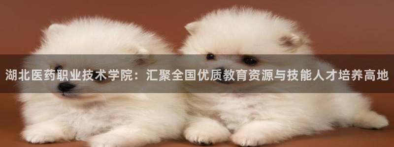 九游会中国入口嘛