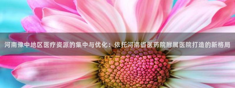九游会j9官网