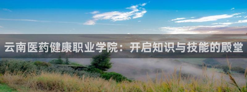 九游会个人中心登录页面