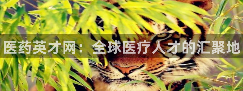 ag九游官网登录