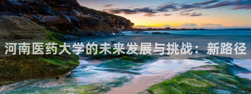 九游会的网址是多少