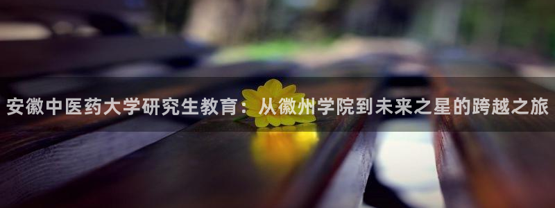 j9九游会在线登录：