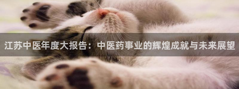九游会app官方下载